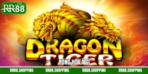 Rồng Hổ Là Gì - Game Bài Giải Trí Đầy Thú Vị Trên RR88