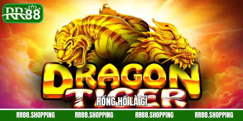 Rồng Hổ Là Gì - Game Bài Giải Trí Đầy Thú Vị Trên RR88