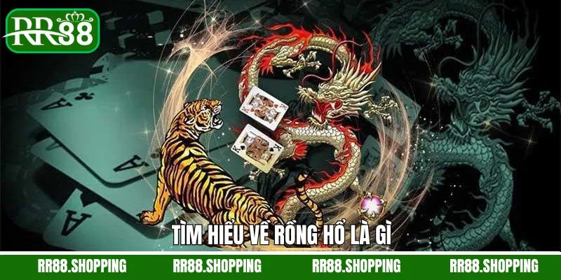 Một vài thông tin cơ bản về game rồng hổ nên biết 