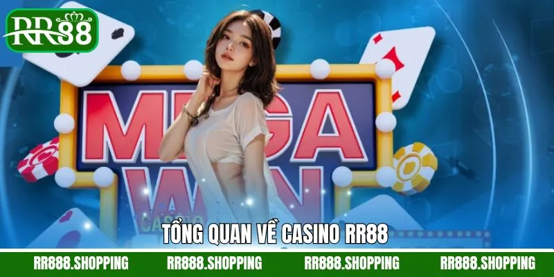 Tổng quan về thể loại Casino sống động Tổng quan về thể loại Casino sống động