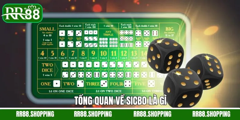 Sicbo là gì thông tin tổng quan về trò chơi cá cược Sicbo là gì thông tin tổng quan về trò chơi cá cược